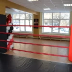 Занятия йогой, фитнесом в спортзале Золотая перчатка Москва