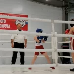 Занятия йогой, фитнесом в спортзале Золотая секира Пушкино