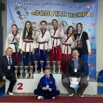 Занятия йогой, фитнесом в спортзале Золотой Дракон Благовещенск