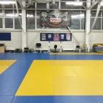 Занятия йогой, фитнесом в спортзале Золотой Дракон Москва