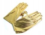 Спортивный клуб Золотые перчатки