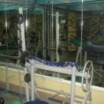 Занятия йогой, фитнесом в спортзале Звёздный Каменск-Уральский